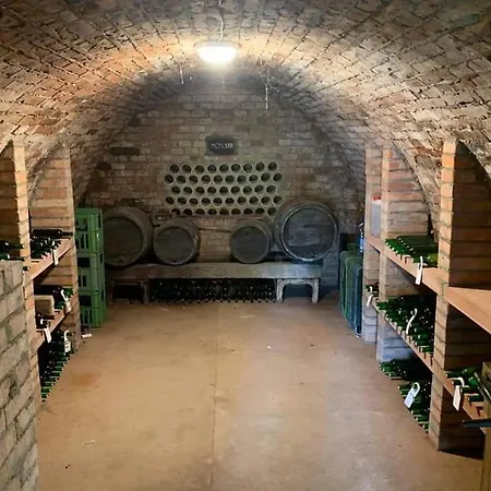 Chata Vinny Sklep Bobule Morkuvky Exterior photo